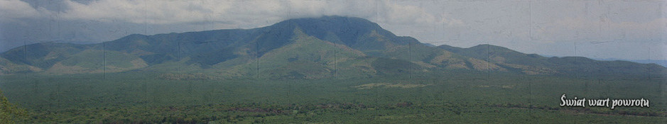 top_11.jpg